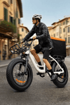 SUNNIGO B5 Electric Bike 20 Inch Fat Bike 600Wh 48V EU Standards 120 km Long Range 4.0'' Tire Bicycle Urban E-Bike