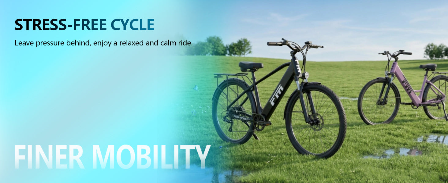 FINER M2 PLUS Folding Electric Bike - view 11