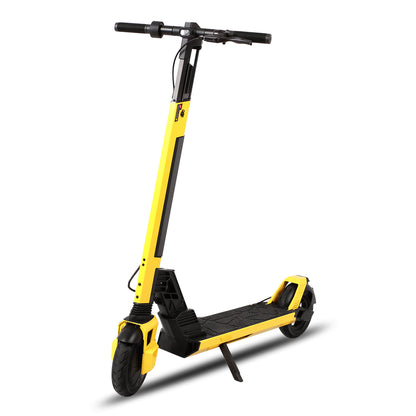 SUNNIGOO Electric Scooter ES-T1