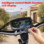SUNNIGOO X7PRO display - off-road electric scooter